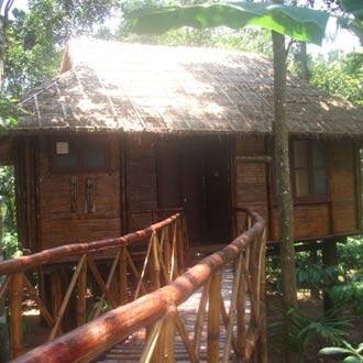 County Tree House  Stays, Wayanad 3